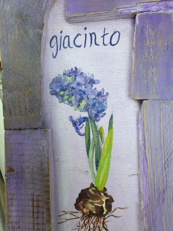 B & B La Primavera Pergola Exteriér fotografie