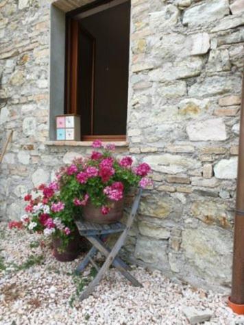 B & B La Primavera Pergola Exteriér fotografie