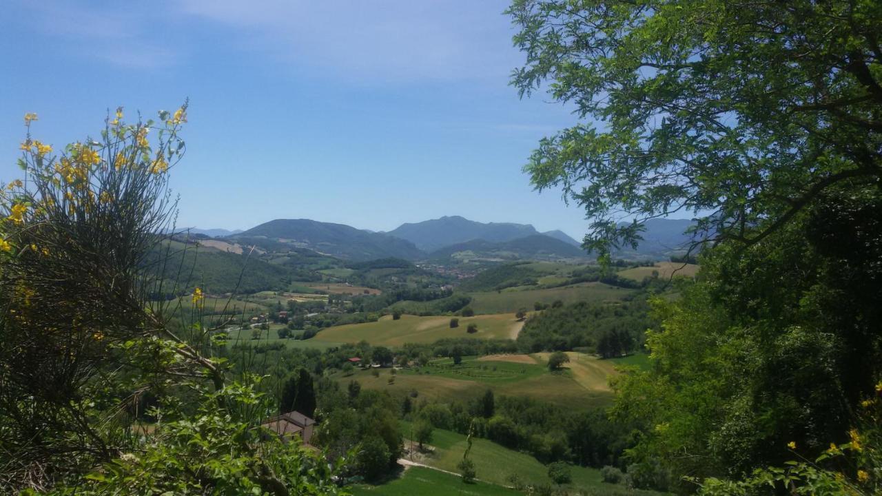 B & B La Primavera Pergola Exteriér fotografie