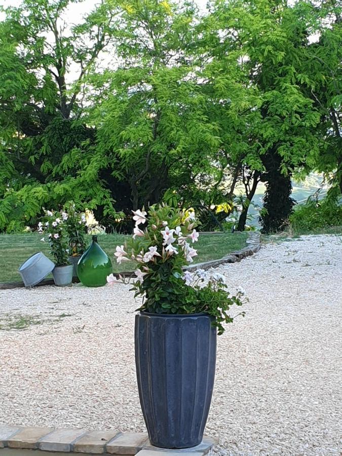 B & B La Primavera Pergola Exteriér fotografie